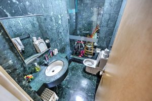 Oleanas Residences Kim Yam Heights for Rent