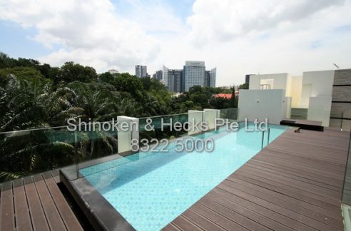 Penthouse - Beaufort on Nassim